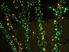 052 Toledo Zoo Light Show [2008 Dec 27]